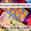 Kamagra Sildenafil Oral Jelly new06